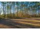 Serene backyard view, featuring a lush tree line and open space at 553 Trotters Ln, Moncks Corner, SC 29461