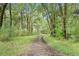 Long driveway through a wooded area leading to the property at 1433 Martins Point Rd, Wadmalaw Island, SC 29487