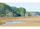 Expansive marsh landscape with tall grasses and a tranquil waterway at 1604 John Fenwick Ln, Johns Island, SC 29455