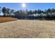 Sunny backyard with pond view and wooden fence at 343 Lake Ridge Blvd, Summerville, SC 29483