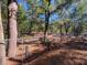 Partially fenced backyard with mature trees and pine straw at 400 Murray Blvd, Summerville, SC 29483