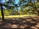 Large grass field with shade from mature trees at 400 Murray Blvd, Summerville, SC 29483