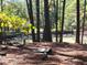 Serene waterfront view with natural beauty, featuring a small pond at 400 Murray Blvd, Summerville, SC 29483