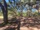 Wooded area with large oak trees and shade at 400 Murray Blvd, Summerville, SC 29483