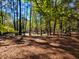 Peaceful wooded area with mature trees and a tranquil atmosphere at 400 Murray Blvd, Summerville, SC 29483