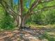 Wooden park bench under large shade tree at 211 Brailsford Rd, Summerville, SC 29485