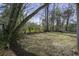 Large backyard with trees and partial fence at 303 Holly Avenue Ave, Goose Creek, SC 29445