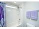 Bathroom with tub and shower, featuring a purple shower curtain at 394 Sanctuary Park Dr, Summerville, SC 29486