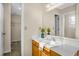 Bathroom with single sink and access to closet at 1014 Ariel Ct, Summerville, SC 29485