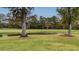 Spacious backyard with pond view and lush landscaping at 113 History Ln, Summerville, SC 29485