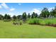 Green lawn with manicured landscaping and neighborhood homes in background at 157 Pocket Bend Cir # B, Summerville, SC 29486