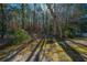 Wooded backyard with chain link fence and mature trees at 2426 Tuscany Dr, North Charleston, SC 29406