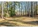 Wooded lot with open grassy area, perfect for a private retreat at 123 Beam St, Huger, SC 29450