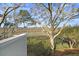 Partial view of backyard with marsh and dock access at 1723 Live Oak Park # 1723, Seabrook Island, SC 29455