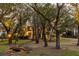 Tranquil backyard with wooden footbridge and lush trees at 1860 Headquarters Plantation Dr, Johns Island, SC 29455