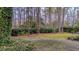 Wooded backyard with grassy area and hedge at 220 Runnymede Ln, Summerville, SC 29485