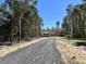Exterior shot of the property shows a gravel driveway leading up to a small house surrounded by tall trees at 240 Carolina Dr, Saint Stephen, SC 29479