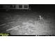 Night view of home with deer in front yard at 240 Carolina Dr, Saint Stephen, SC 29479