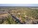 Aerial view of a house nestled in a wooded area at 3980 River Rd, Johns Island, SC 29455