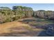 Aerial view of horses in pasture, farm setting at 3980 River Rd, Johns Island, SC 29455