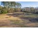 Aerial view of a horse paddock with three horses at 3980 River Rd, Johns Island, SC 29455