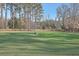 Green paddock with two horses and a water trough at 3980 River Rd, Johns Island, SC 29455