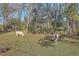 Two donkeys graze in a fenced pasture at 3980 River Rd, Johns Island, SC 29455