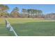 Riding arena with white markers and a horse at 3980 River Rd, Johns Island, SC 29455