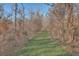 Wooded trail perfect for riding or walking at 3980 River Rd, Johns Island, SC 29455