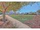 Community green space with manicured lawn and neighborhood homes at 459 Spring Hollow Dr, Charleston, SC 29492