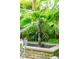 Rustic water pump as a charming focal point in the garden at 14 1/2 Murray Blvd, Charleston, SC 29401