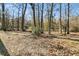 Wooded backyard with leaf covered ground at 174 Winding Rock Rd, Goose Creek, SC 29445