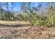 A peaceful, partially wooded lot showing the natural backyard of the property on a clear day at 174 Winding Rock Rd, Goose Creek, SC 29445