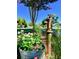 Landscaped community garden with an old-fashioned pump at 203 Oak View Way, Summerville, SC 29483