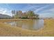 Serene pond view in the backyard of a home at 219 Greenwich Dr, Summerville, SC 29486