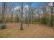 Wooded backyard with leaf-covered ground at 6310 Shilelagh Oaks Pkwy, Ravenel, SC 29470