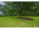 Relaxing backyard with a bench under a large tree at 975 Mayfield St, Summerville, SC 29485