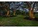 Landscaped backyard with mature trees and elegant lighting at 975 Mayfield St, Summerville, SC 29485