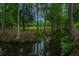 Serene creek with lush green vegetation at 975 Mayfield St, Summerville, SC 29485