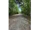 Long gravel driveway through a canopy of trees at 975 Mayfield St, Summerville, SC 29485