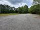 Large green field surrounded by mature trees at 975 Mayfield St, Summerville, SC 29485