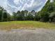 Large green field surrounded by mature trees at 975 Mayfield St, Summerville, SC 29485