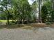 Wooded areas along the property line at 975 Mayfield St, Summerville, SC 29485