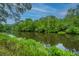Picturesque river view with lush vegetation and calm waters at 975 Mayfield St, Summerville, SC 29485