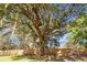 Spacious backyard with large oak tree and wooden fence at 1219 Edward Dr, Moncks Corner, SC 29461