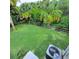 Large grassy backyard with palm trees and wooden fence at 209 Palmetto Blvd, Edisto Beach, SC 29438