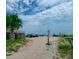Beach access path with golf cart parking at 209 Palmetto Blvd, Edisto Beach, SC 29438