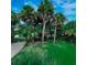 Lush green landscaping with mature palm trees at 209 Palmetto Blvd, Edisto Beach, SC 29438