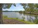 Serene pond view with lush greenery at 2371 Shipwatch Rd, Kiawah Island, SC 29455