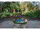 Relaxing fire pit area with blue glass and lush landscaping at 3100 Sonja Way, Mount Pleasant, SC 29466